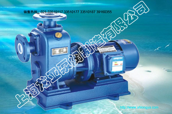 BZ自吸泵,自吸泵,離心式自吸泵