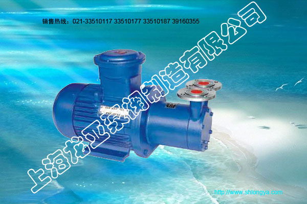 防爆旋渦泵
