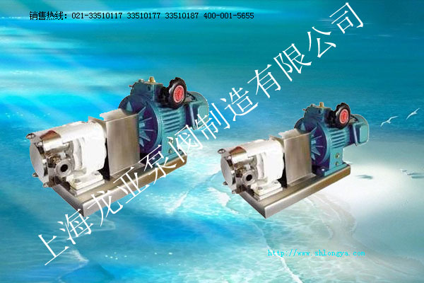 LQ3A轉(zhuǎn)子泵,不銹鋼轉(zhuǎn)子泵,羅茨泵,凸輪轉(zhuǎn)子泵