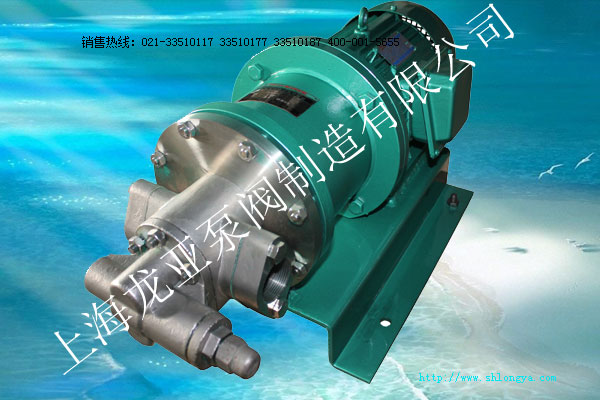 WCFB40磁力齒輪泵,磁力齒輪泵