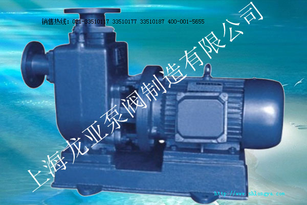 ZXL直聯(lián)式臥式自吸泵 ZXL自吸泵,直聯(lián)式臥式自吸泵,直聯(lián)式自吸泵