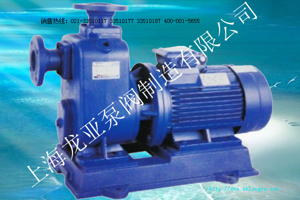 ZXL直聯(lián)式臥式自吸泵 ZXL自吸泵,直聯(lián)式臥式自吸泵,直聯(lián)式自吸泵