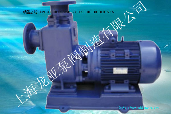 ZXL直聯(lián)式臥式自吸泵 ZXL自吸泵,直聯(lián)式臥式自吸泵,直聯(lián)式自吸泵